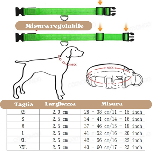Collare luminoso a led per cani ricaricabile, 3 modalità di luce, anti-smarrimento, visibilità e sicurezza ad ogni passeggiata.