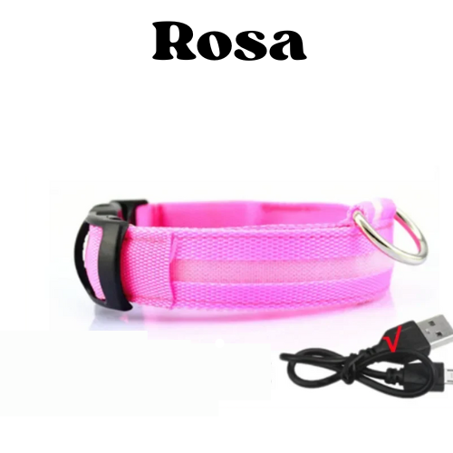Collare luminoso a led per cani ricaricabile, 3 modalità di luce, anti-smarrimento, visibilità e sicurezza ad ogni passeggiata.