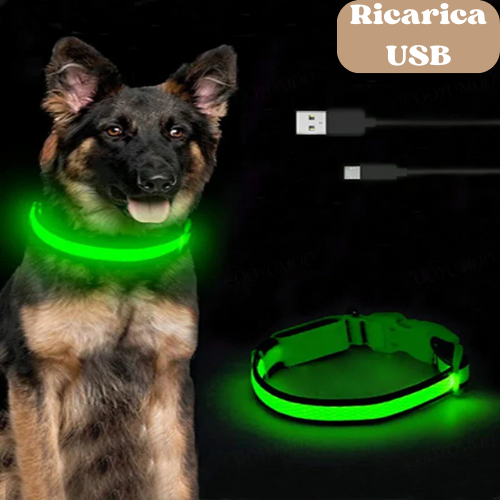 Collare luminoso a led per cani ricaricabile, 3 modalità di luce, anti-smarrimento, visibilità e sicurezza ad ogni passeggiata.