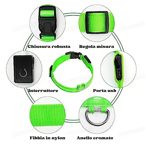 Collare luminoso a led per cani ricaricabile, 3 modalità di luce, anti-smarrimento, visibilità e sicurezza ad ogni passeggiata.