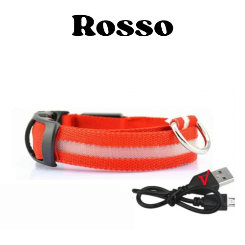 Collare luminoso a led per cani ricaricabile, 3 modalità di luce, anti-smarrimento, visibilità e sicurezza ad ogni passeggiata.