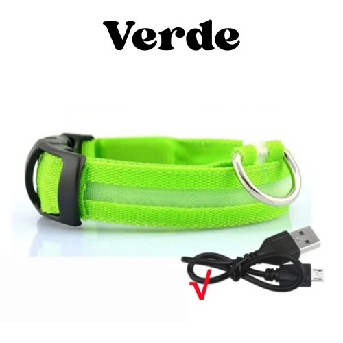 Collare luminoso a led per cani ricaricabile, 3 modalità di luce, anti-smarrimento, visibilità e sicurezza ad ogni passeggiata.