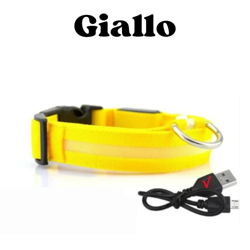 Collare luminoso a led per cani ricaricabile, 3 modalità di luce, anti-smarrimento, visibilità e sicurezza ad ogni passeggiata.