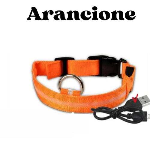 Collare luminoso a led per cani ricaricabile, 3 modalità di luce, anti-smarrimento, visibilità e sicurezza ad ogni passeggiata.