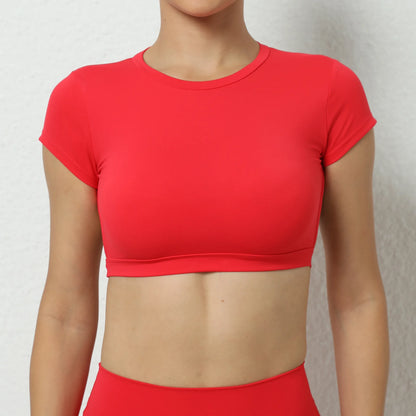 Top/T-shirt sportiva/casual, manica corta, per donna. Sette colori e 3 misure per la scelta.