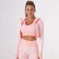 Tuta vita alta con top e felpa. Set tre pezzi sportivo/casual da donna, 10 colori, dalla S alla XL.