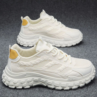 Scarpa sportiva primavera/estate da uomo, traspirante, morbida e resistente. Misura dal 39 al 44, disponibile vari modelli e colori.