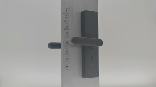 Serratura elettronica intelligente bluetooth. Sblocco con password, impronta digitale, chiave, App, scheda IC, per casa intelligente.